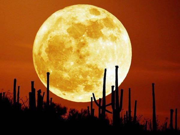 Mơ thấy mặt trăng là điềm báo lành hay dữ?