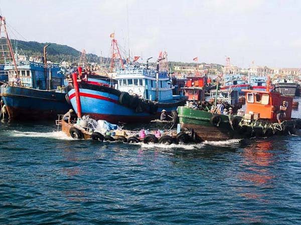 Nước ta có mấy ngư trường lớn trọng điểm - Tìm hiểu ngư trường