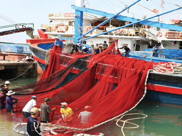 Nước ta có mấy ngư trường lớn trọng điểm - Tìm hiểu ngư trường