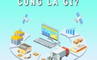 Cung là gì? Những yếu tố nào ảnh hưởng đến nguồn cung?