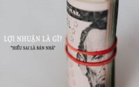 Lợi nhuận là gì