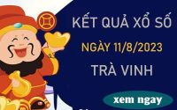 Nhận định XSTV 11/8/2023 chốt bạch thủ VIP Trà Vinh
