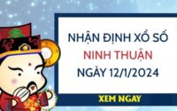Nhận định xổ số Ninh Thuận ngày 12/1/2024 thứ 6 hôm nay