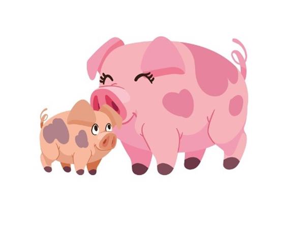 Dự đoán con số hay về tuổi Hợi ngày 17/7/2024