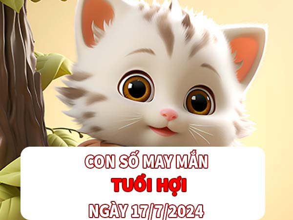 Con số hay về tuổi Hợi ngày 17/7/2024 thứ 4 hôm nay