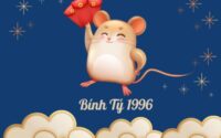 Phân tích cặp số may mắn tuổi Bính Tý 2/3/2025