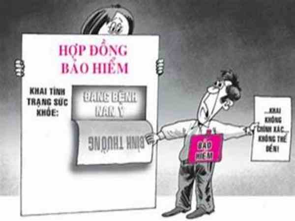  Khai báo thông tin sai sự thật