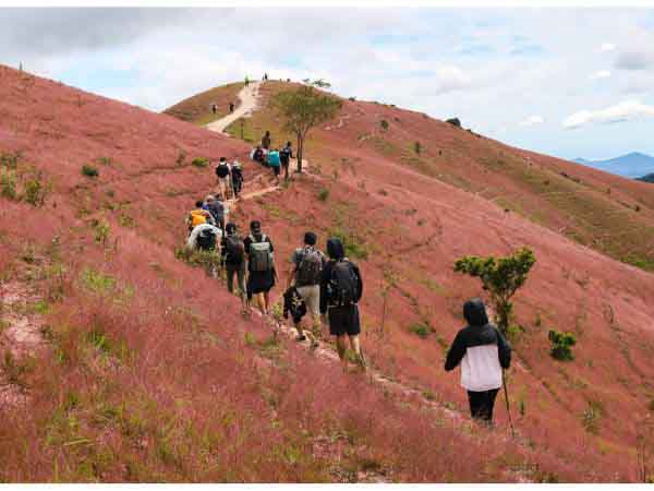 Giới thiệu về cung đường trekking Tà Năng Phan Dũng