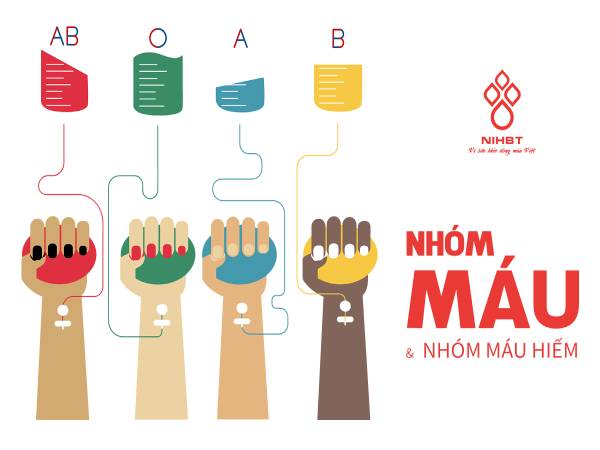 nhóm máu a có hiếm không